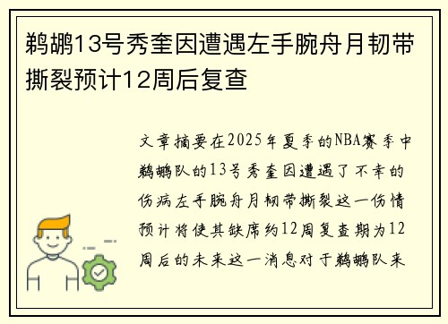 鹈鹕13号秀奎因遭遇左手腕舟月韧带撕裂预计12周后复查